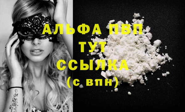 амф Богданович