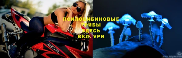 молекула духа Ладушкин