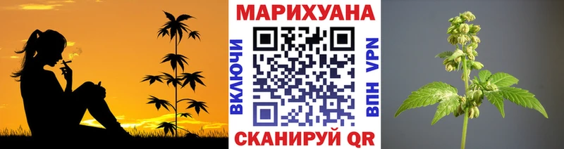Конопля AK-47  сколько стоит  Горняк 